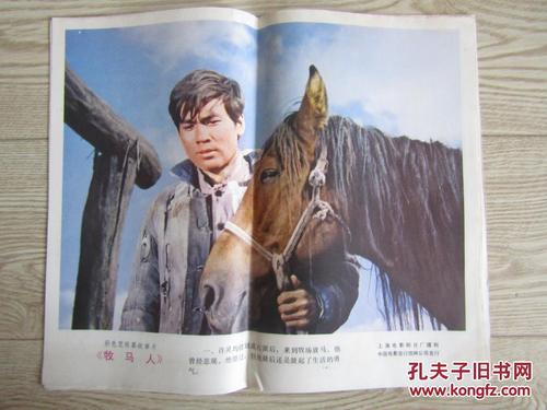 丹麦护照怎么购买